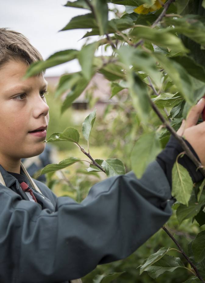 2 A STEM-Technieken (basispakket Agro- En Biotechnieken) | PIBO